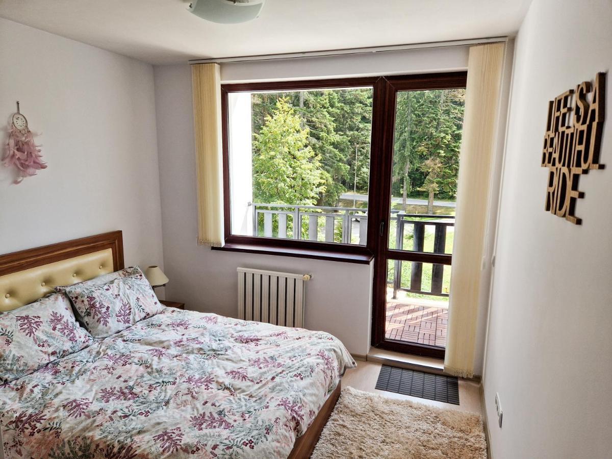 Sunny Apartment C25 بوروفتس المظهر الخارجي الصورة
